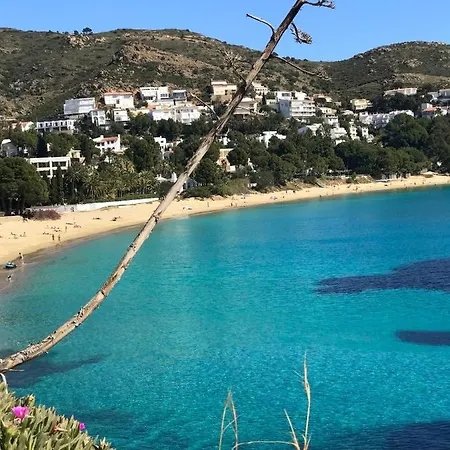 Studio Roses Beach